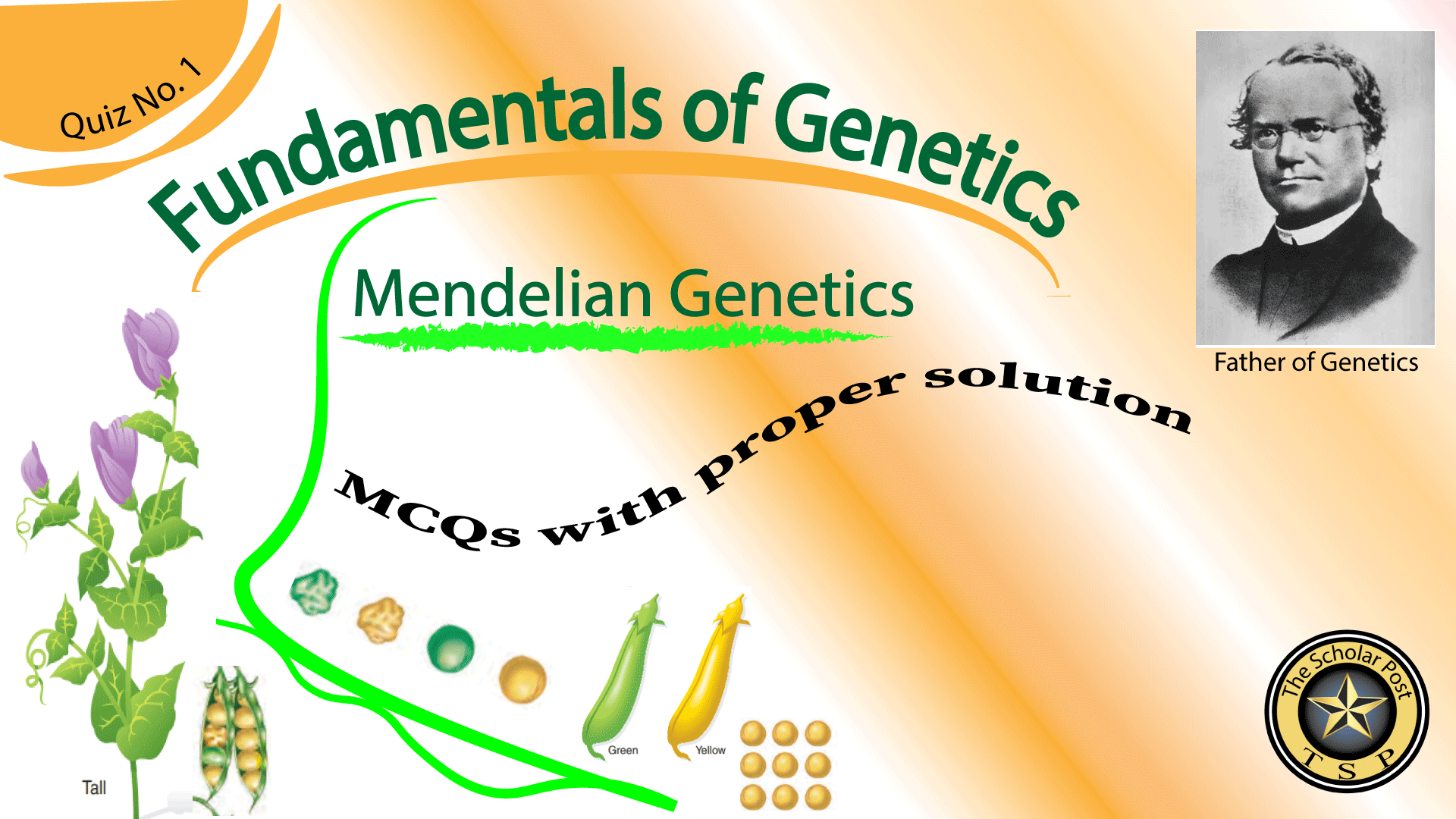 Fundamentals of Genetics Quiz 1