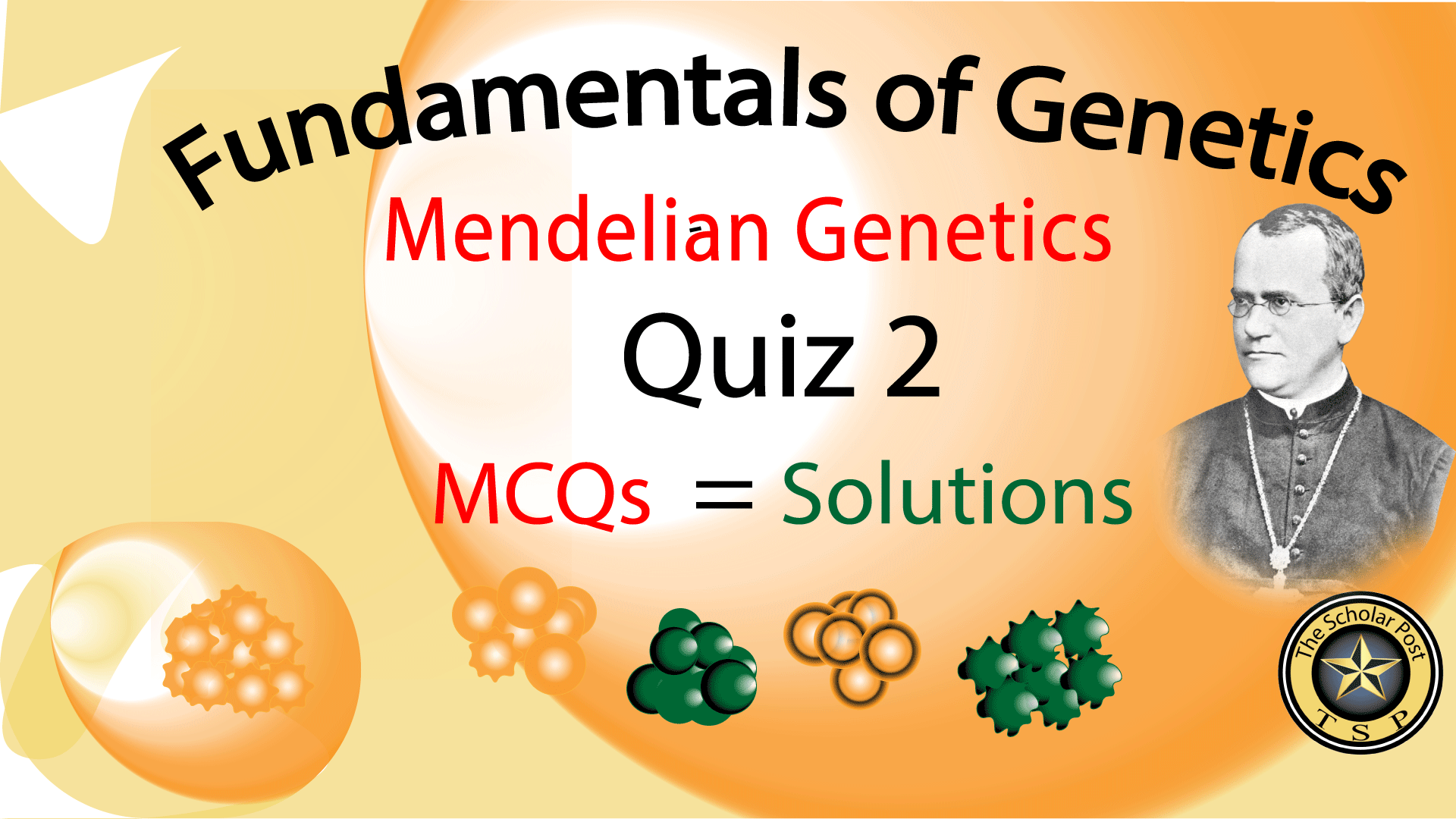 Fundamentals of Genetics Quiz 2