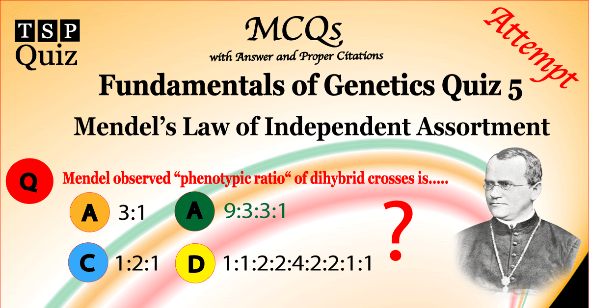 Mendel's Law of Independent Assortment Quiz