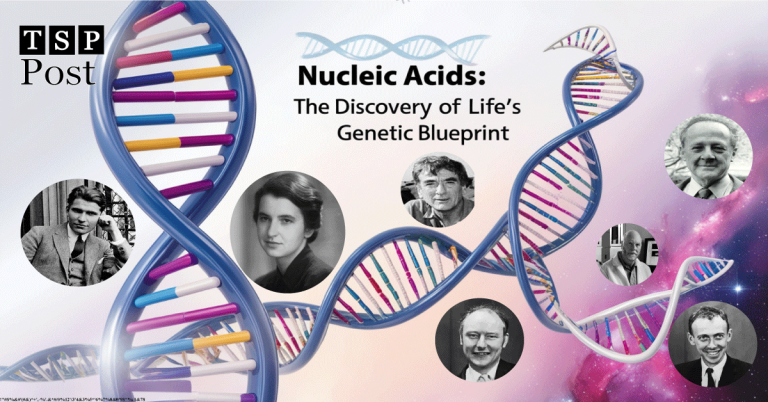 Nucleic Acids: The Discovery of Life's Genetic Blueprint