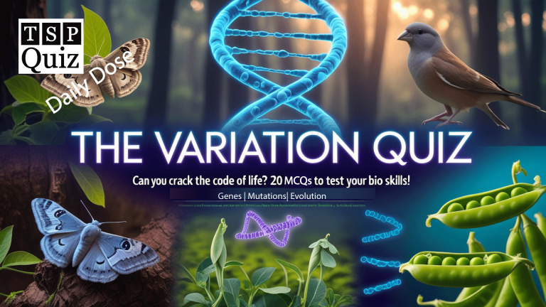 The Variation Quiz