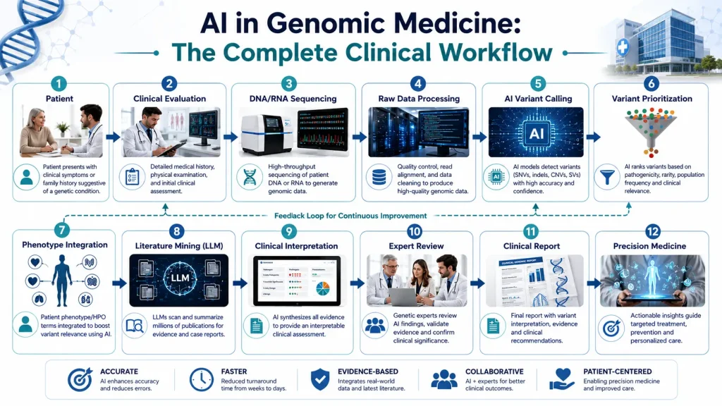 Flowchart illustrating the complete clinical workflow for AI in genomic medicine, showing patient presentation, sequencing, AI analysis, variant prioritization, phenotype integration, literature mining, expert review, and precision medicine delivery.