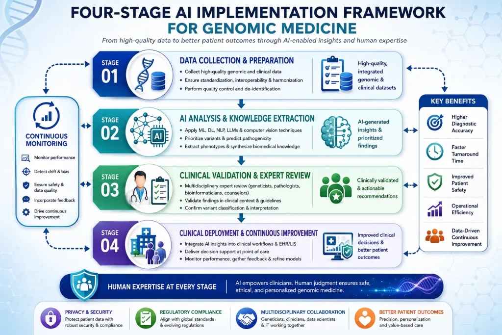 Four-stage implementation framework infographic showing data collection, AI analysis, clinical validation, and clinical deployment with continuous monitoring throughout the lifecycle.