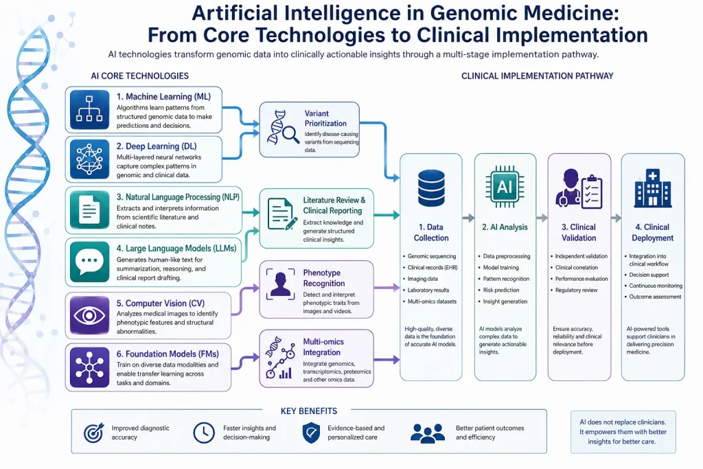 Flow diagram illustrating how Machine Learning, Deep Learning, Natural Language Processing, Large Language Models, Computer Vision, and Foundation Models support the four-stage implementation framework of genomic medicine, including data collection, AI-driven analysis, clinical validation, and clinical deployment.